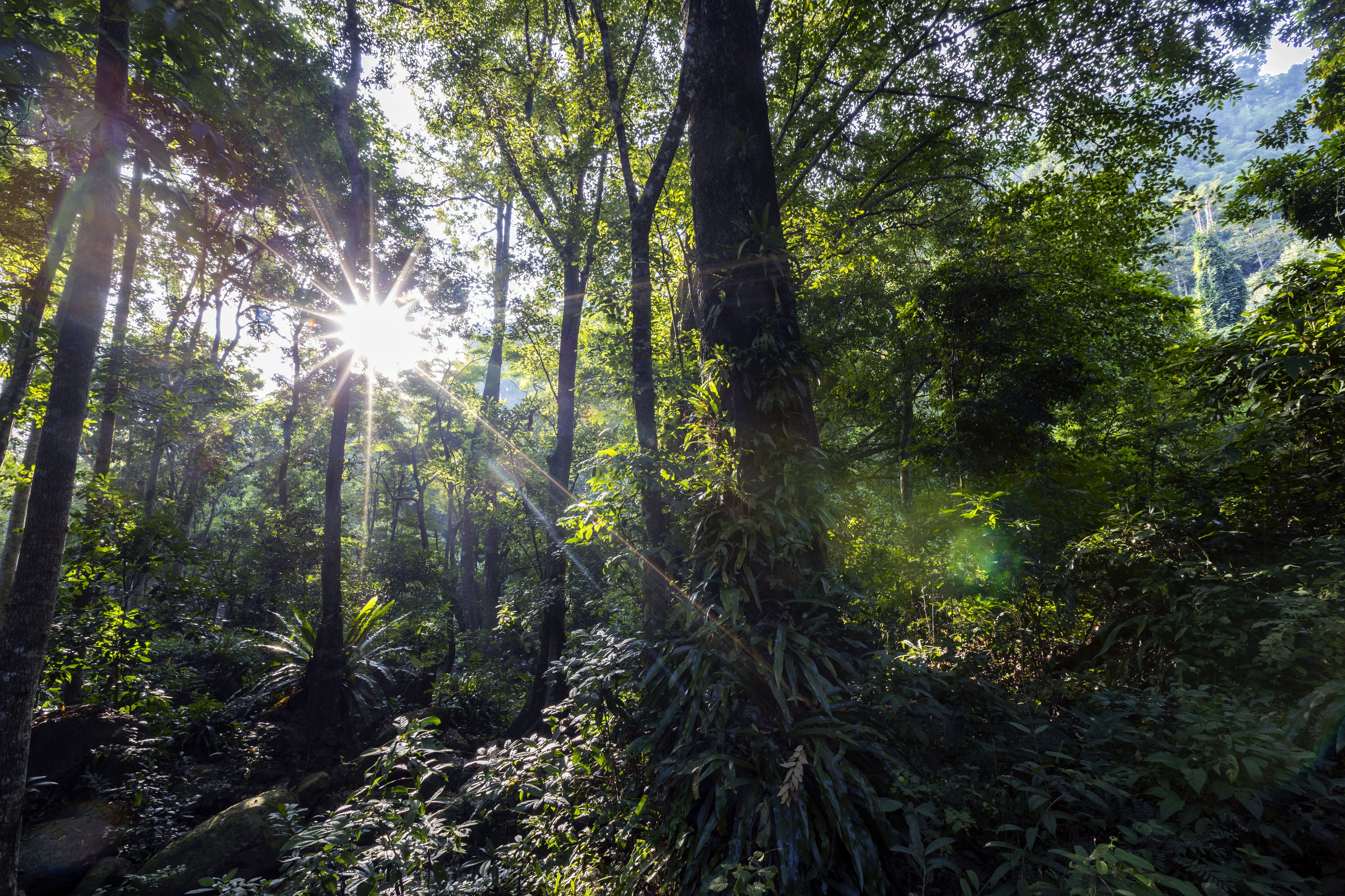Post - Abertura Viva: o início silencioso e profundo do Ilumina Brasil